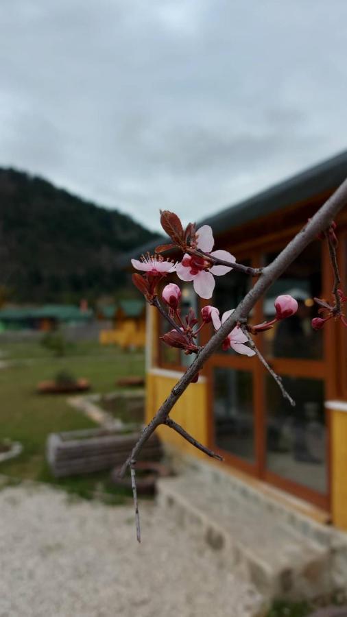 Camping Farm Shelegur Leskovik Exterior foto